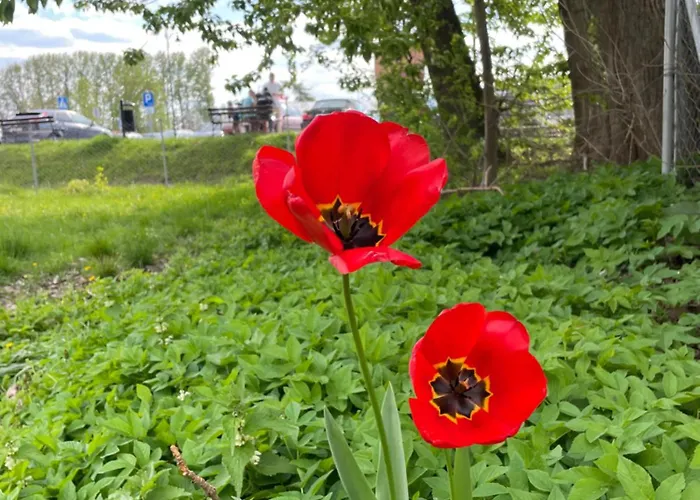 Goscinne W Starym Kinie * Ustka